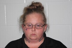 Mugshot of CHRISTINA D PHELPS