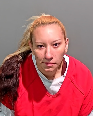 Mugshot of MARILYN R BOWERS
