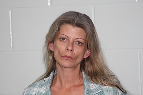 Mugshot of MELISSA J WATKINS