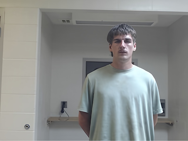 Mugshot of Logan Robert Gulbranson