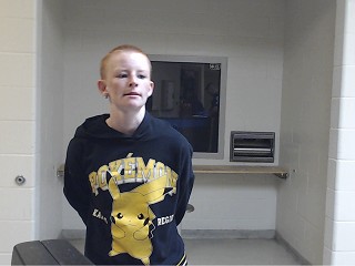 Mugshot of Britany Nicole Beaver