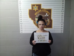 Mugshot of Diedra Marie Doyle