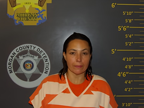 Mugshot of JAMI LORRAINE DORRELL