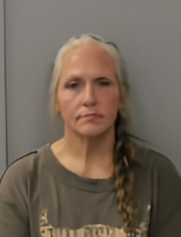 Mugshot of MANDY LEE LEMISTER
