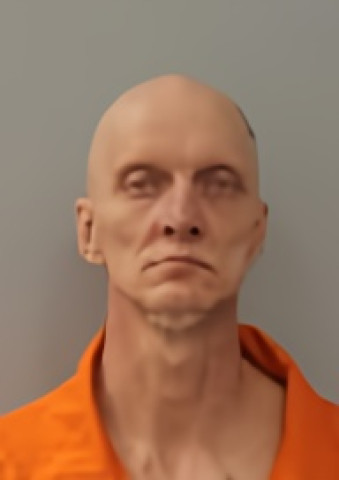 Mugshot of GERALD LEE BELL