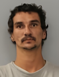 Mugshot of BRETT A LINDEMANN