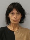 Mugshot of PAMELA ANNE VILLARREAL