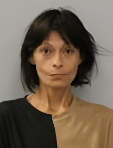 Mugshot of PAMELA ANNE VILLARREAL