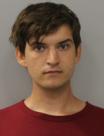 Mugshot of DARREN JOSEPH DELANOIS