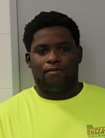Mugshot of ROBERT MITCHELL JR NEWELL