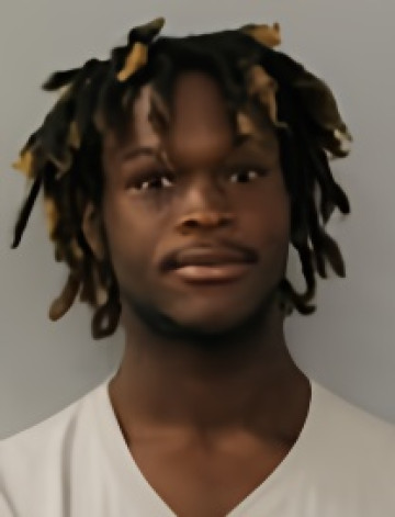 Mugshot of LEVELLE YOUNG ROMANOWSKI