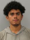 Mugshot of SANTOS JENRY ARAUZ CENTENO