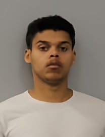 Mugshot of JAMES RAY JR MILLER