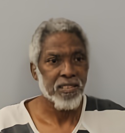 Mugshot of OLANDA B JONES