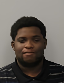 Mugshot of ROBERT MITCHELL JR NEWELL