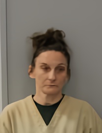 Mugshot of MEAGAN ELISABETH CLIMER