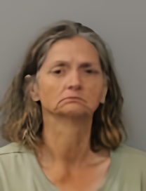 Mugshot of JUDY KAY CAVANAUGH-DEMENT
