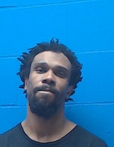 Mugshot of Noel Parkins