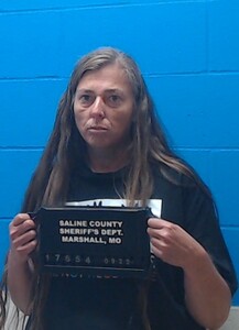 Mugshot of Lorie Hammock