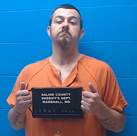 Mugshot of Daniel Strahl