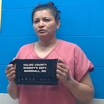 Mugshot of Brenda Centeno