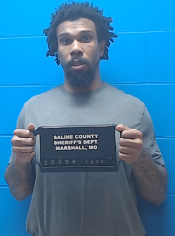 Mugshot of Noel Parkins
