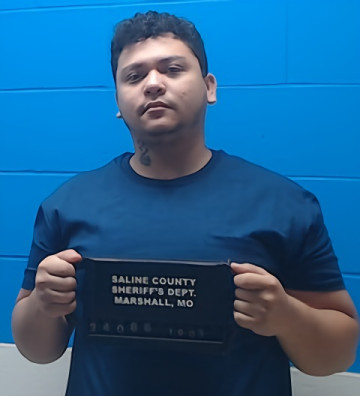 Mugshot of Bairon Flores Castro