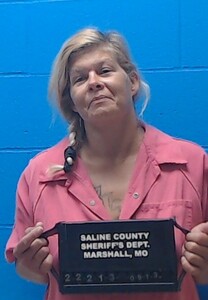 Mugshot of Crystal Davis