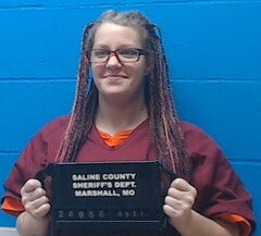 Mugshot of Brianna Willis