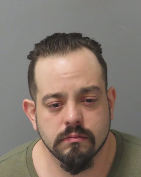 Mugshot of DAVID M HEDGES