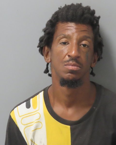 Mugshot of ELMER RENARD J MING