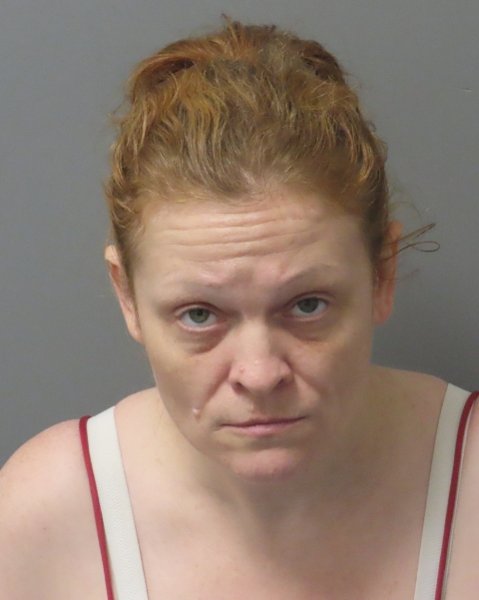 Mugshot of ANGELA MICHELLE SNARZYK