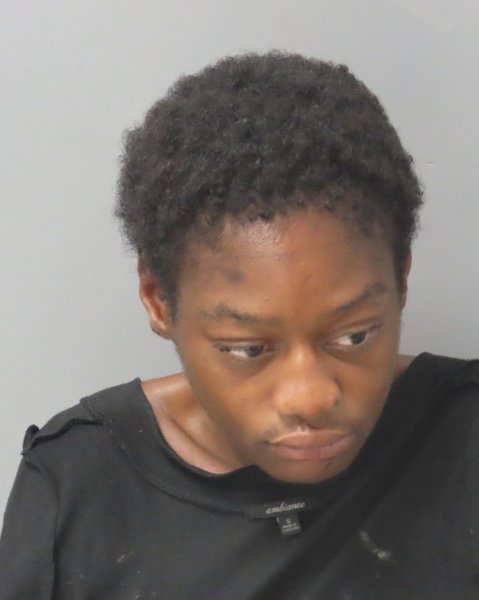 Mugshot of TYYONCE RONEIA PAYNE