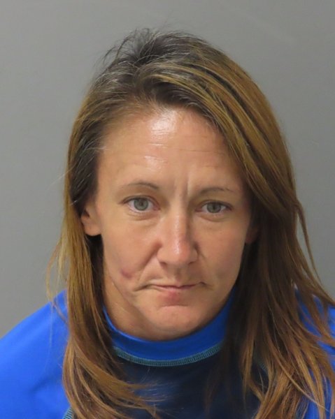 Mugshot of JESSICA MARIE PARTNEY