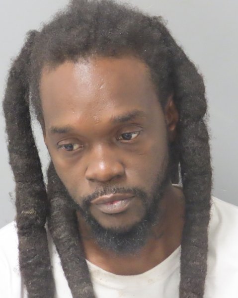Mugshot of RONELL L WILLIAMS