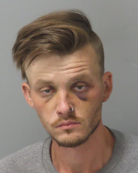 Mugshot of DENNIS ALLEN HESTAND