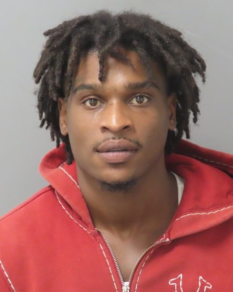 Mugshot of DAVID EUGENE FIELDS