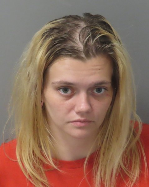 Mugshot of VIVIAN LEIGH ANNA NOLAND-BAGLEY