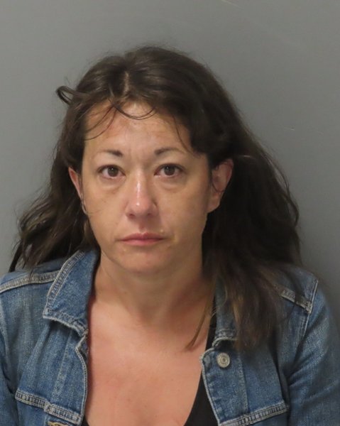 Mugshot of ANNA MICHELLE MESSMER