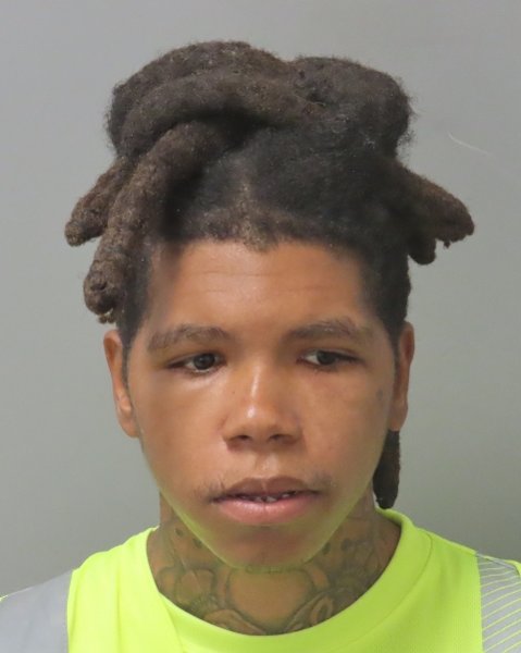 Mugshot of ROBERT L MORRIS