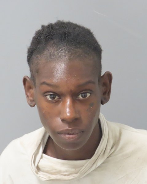 Mugshot of NAKIA LAVONDA HOSKIN