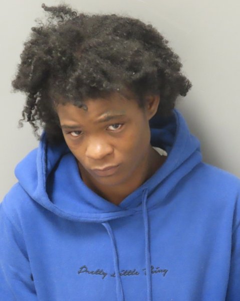 Mugshot of VITORIAN DENISE THOMAS