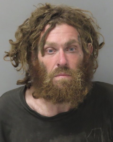 Mugshot of DAVID MATTHEW WAYNE