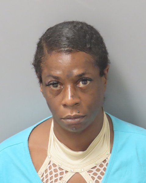Mugshot of FELISHA M DRAPER