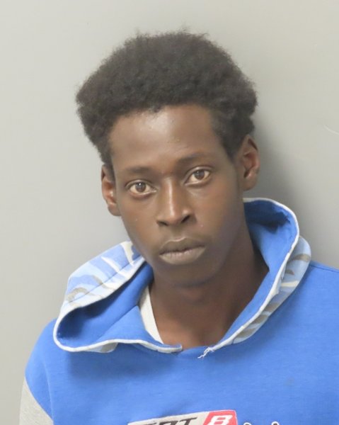 Mugshot of JERICHO JOHNSON