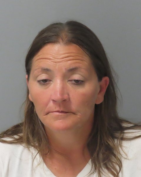 Mugshot of JULIE LAY
