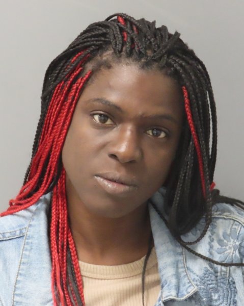 Mugshot of LEIDA DELORIS CHILDROUS