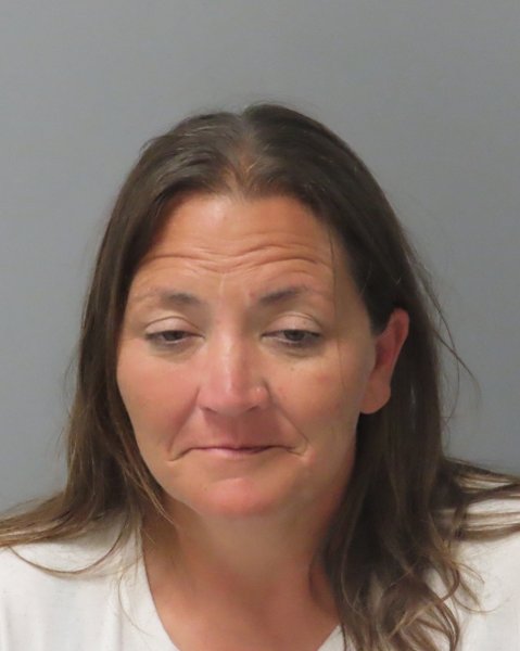 Mugshot of JULIE J LAY