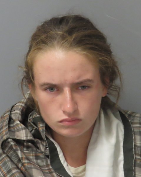 Mugshot of LILLIAN C CALDWELL