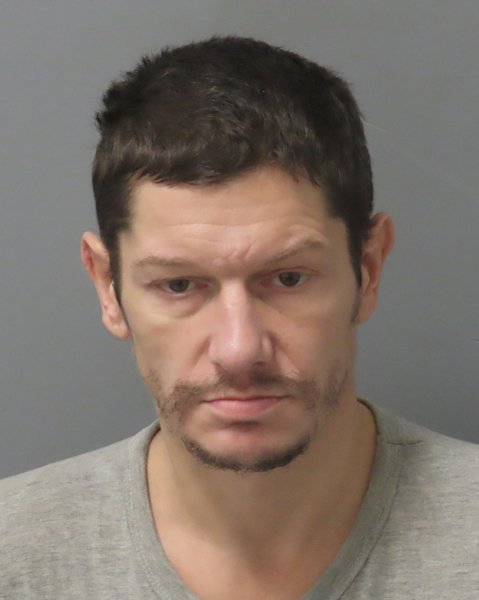 Mugshot of TOBY WITTE